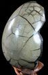 Septarian Dragon Egg Geode - Black Crystals #55722-3